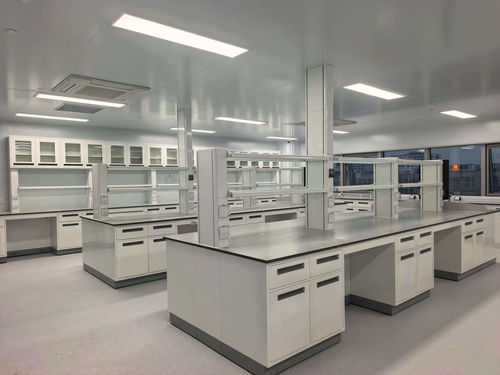 2026年國內鋼木實驗臺企業排行與選購指南 適配不同實驗室需求